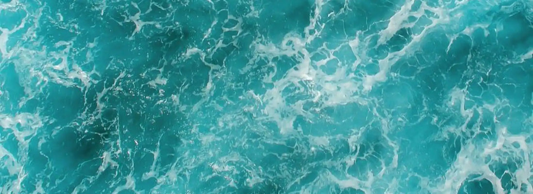 Qu'est-ce que l'eau de Quinton ? Et les plasmas marins ?
